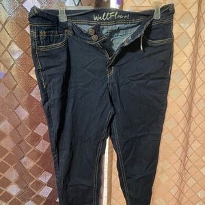 Plus Size Denim Jeans